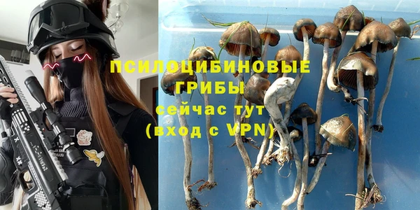 сатива Семилуки